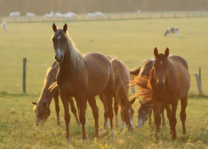 Eden Park Restaurant Pont-Évêque